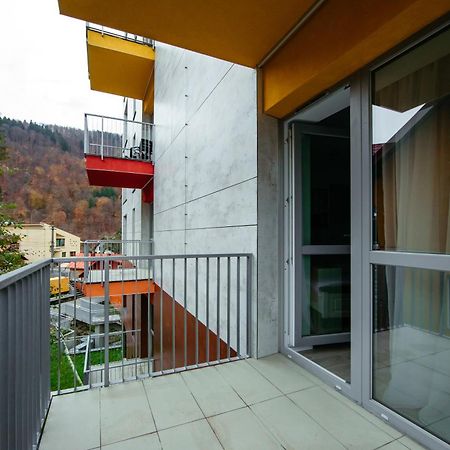 L&V Family Studio Διαμέρισμα Σινάια Εξωτερικό φωτογραφία