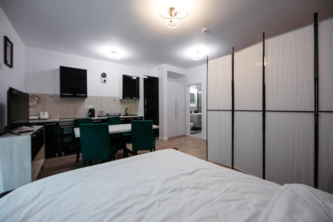 L&V Family Studio Διαμέρισμα Σινάια Εξωτερικό φωτογραφία