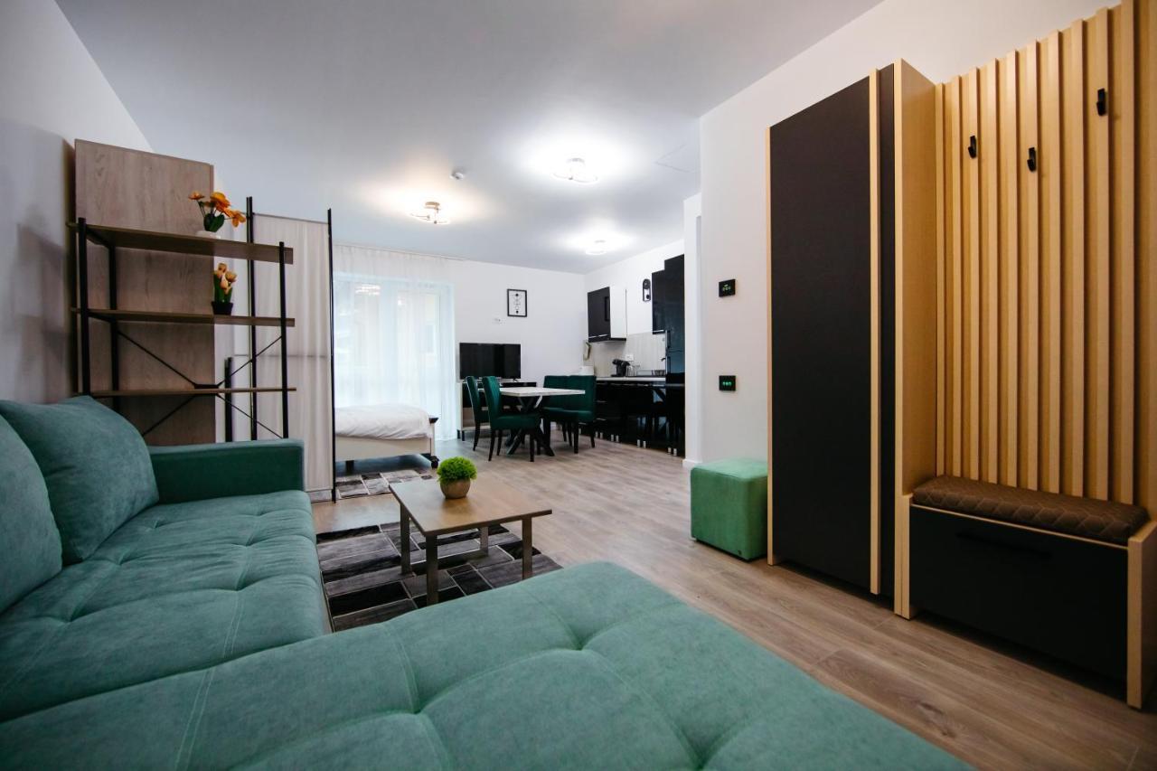 L&V Family Studio Διαμέρισμα Σινάια Εξωτερικό φωτογραφία