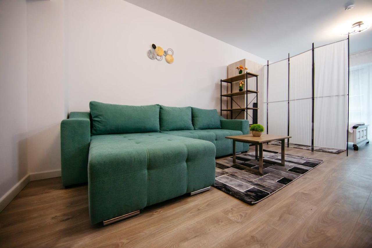 L&V Family Studio Διαμέρισμα Σινάια Εξωτερικό φωτογραφία