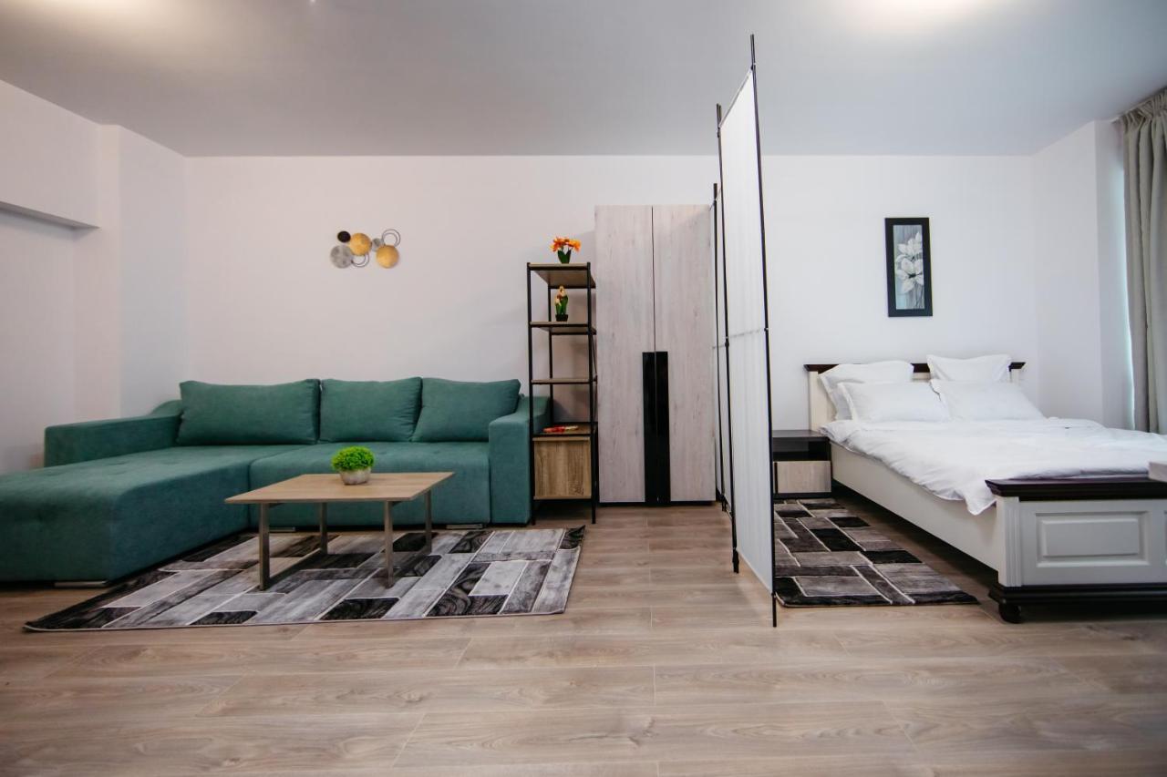 L&V Family Studio Διαμέρισμα Σινάια Εξωτερικό φωτογραφία