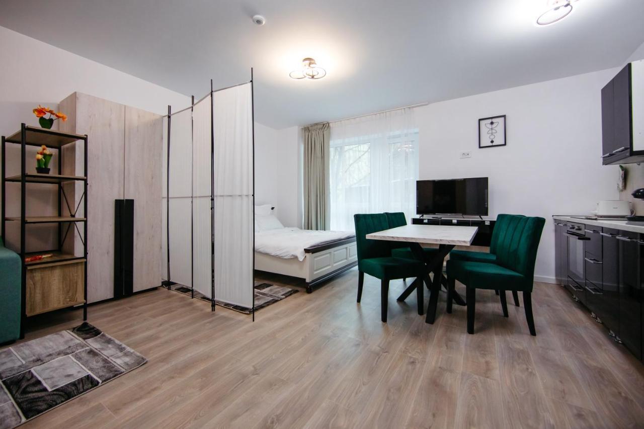 L&V Family Studio Διαμέρισμα Σινάια Εξωτερικό φωτογραφία