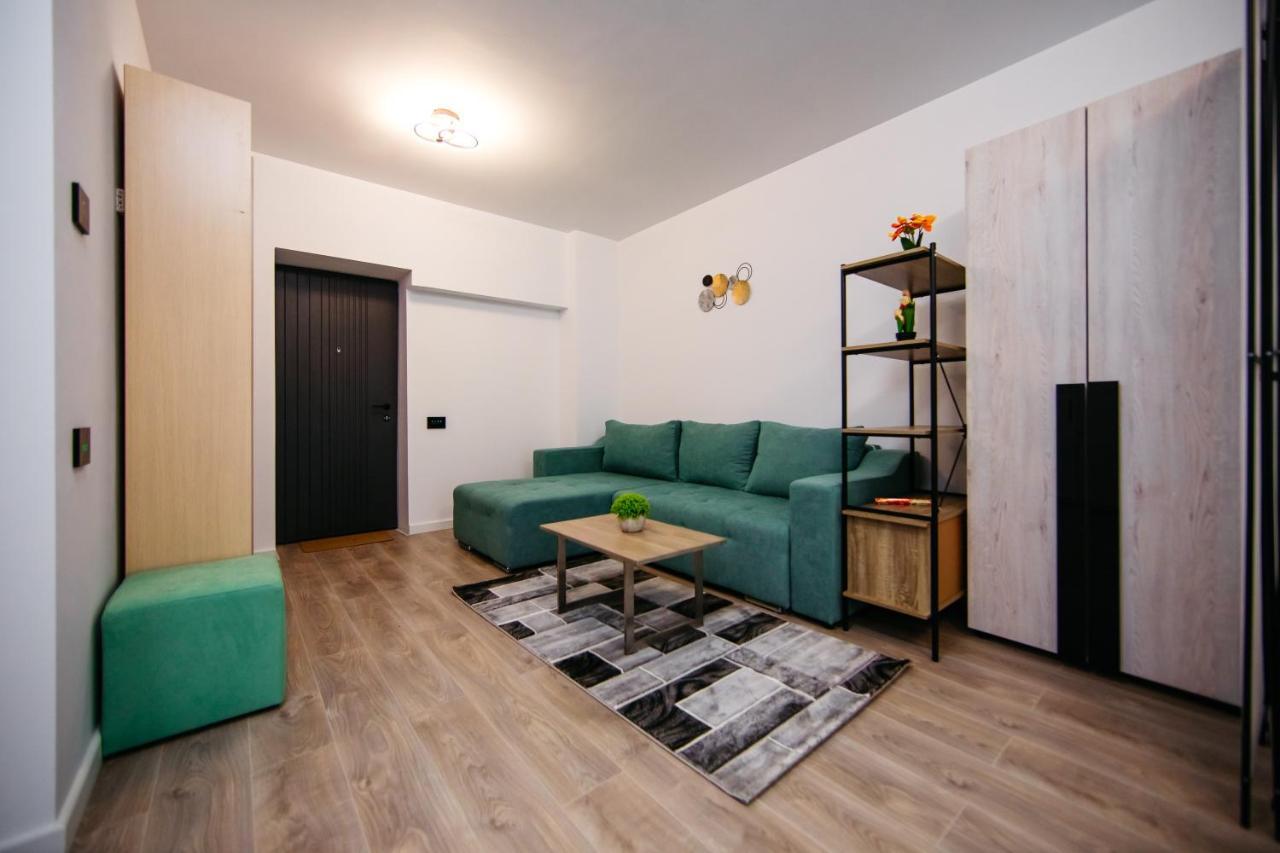 L&V Family Studio Διαμέρισμα Σινάια Εξωτερικό φωτογραφία