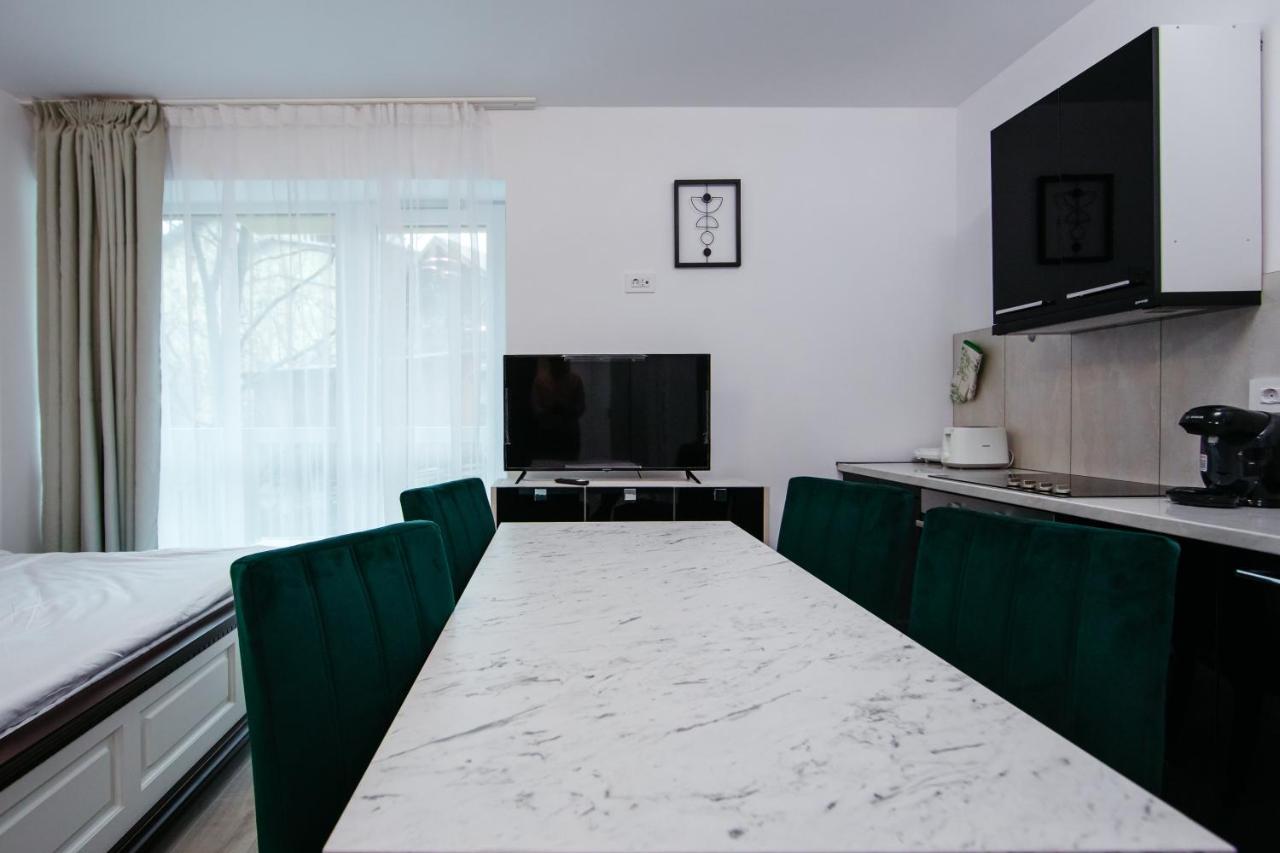 L&V Family Studio Διαμέρισμα Σινάια Εξωτερικό φωτογραφία