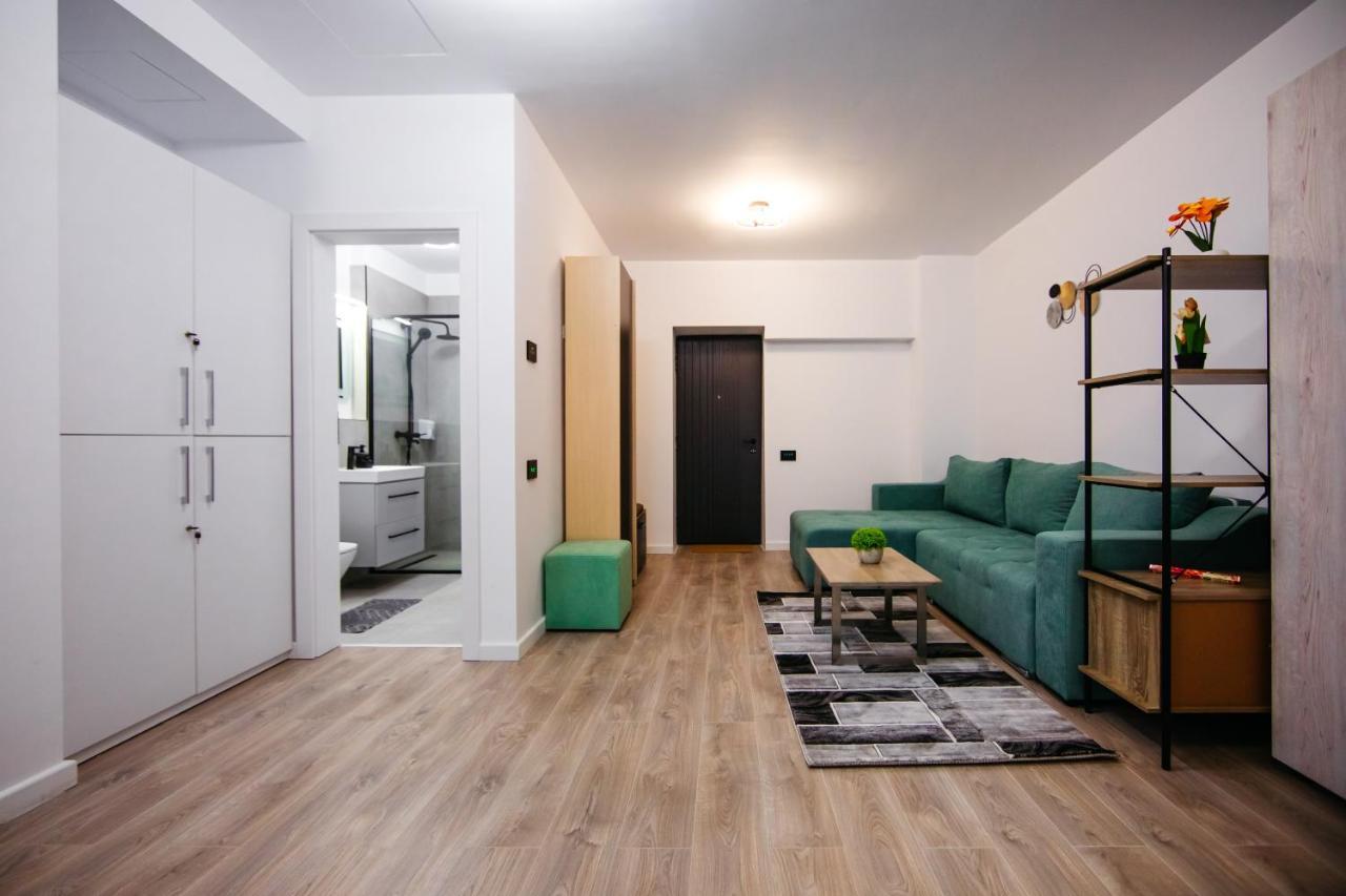 L&V Family Studio Διαμέρισμα Σινάια Εξωτερικό φωτογραφία