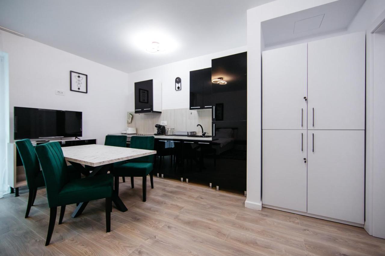 L&V Family Studio Διαμέρισμα Σινάια Εξωτερικό φωτογραφία